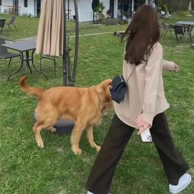 赵世炎