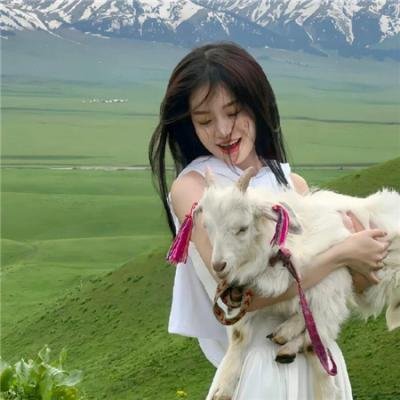 兔子和公牛
